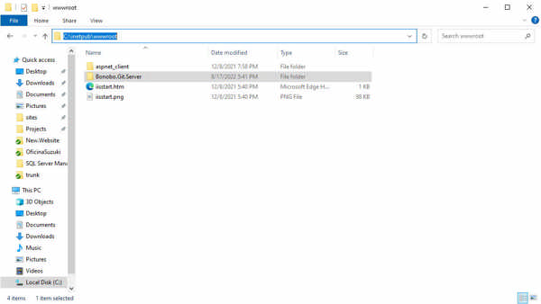 Application copied to wwwroot