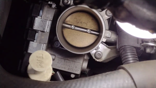 Corpo de Borboleta Limpo