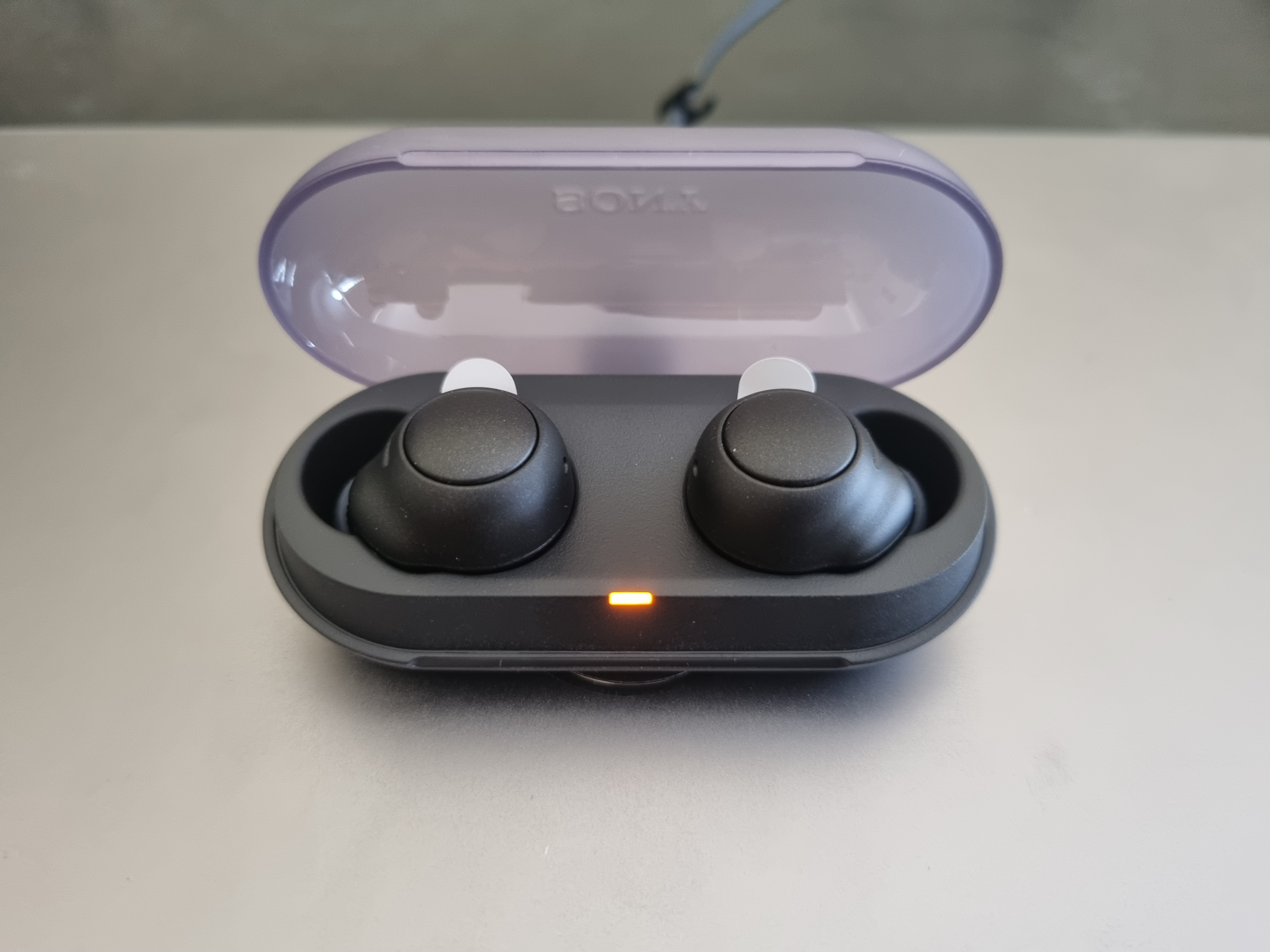 The charging case